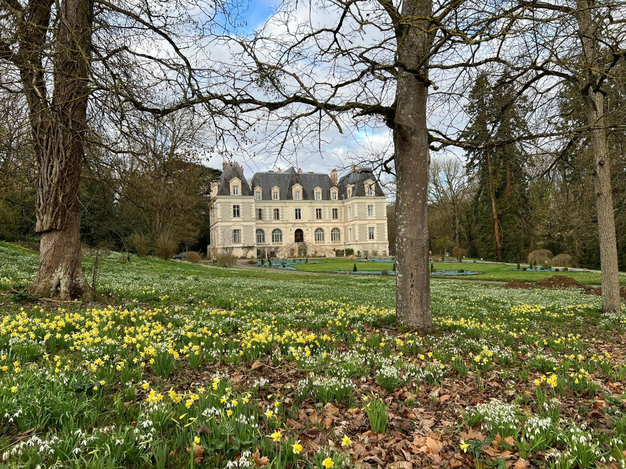 Chateau De Saint-Bohaire Luaran gambar