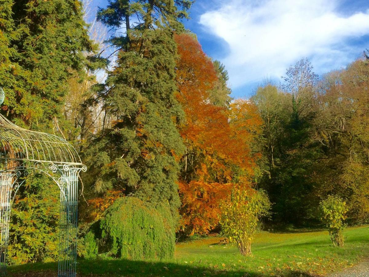 Chateau De Saint-Bohaire Luaran gambar